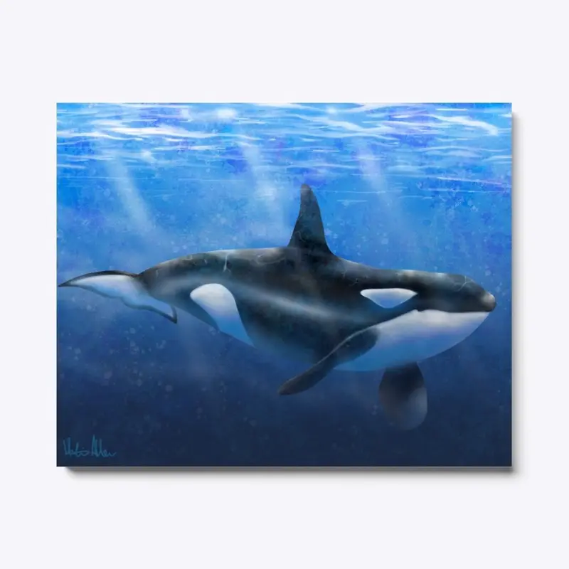 Orca Charm